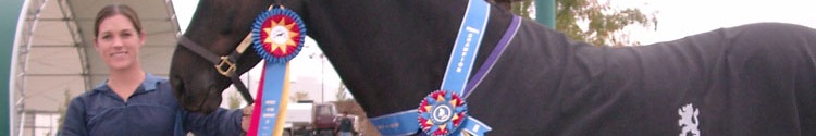 Kari DeLeeuw DVM - Bay Area Equine Holistic Veterinary Medicine
