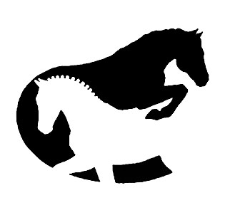 Bay Area Equine Holistic Medicine
